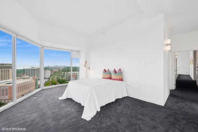 1720 Maple Ave Unit 2710, Evanston, IL 60201 - bedroom featuring carpet floors