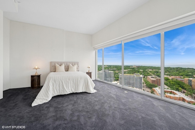 1720 Maple Ave Unit 2710, Evanston, IL 60201 - bedroom featuring carpet flooring, access to exterior, and a view of city