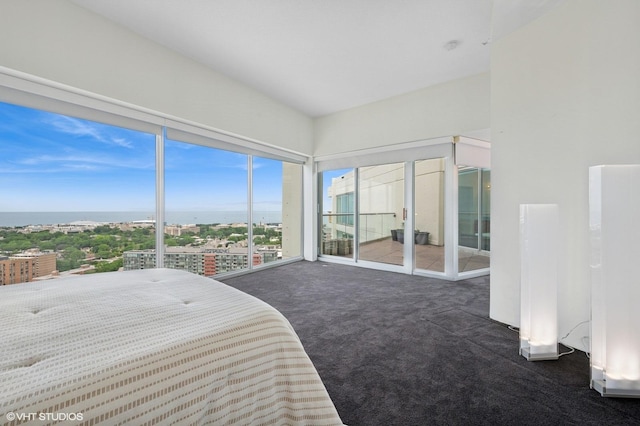 1720 Maple Ave Unit 2710, Evanston, IL 60201 - view of carpeted bedroom