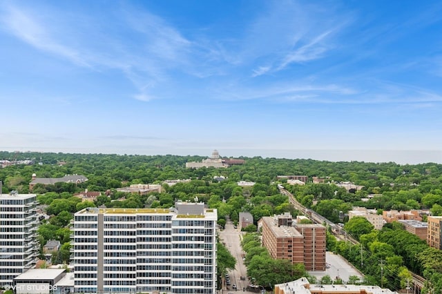 1720 Maple Ave Unit 2710, Evanston, IL 60201 - view of urban area