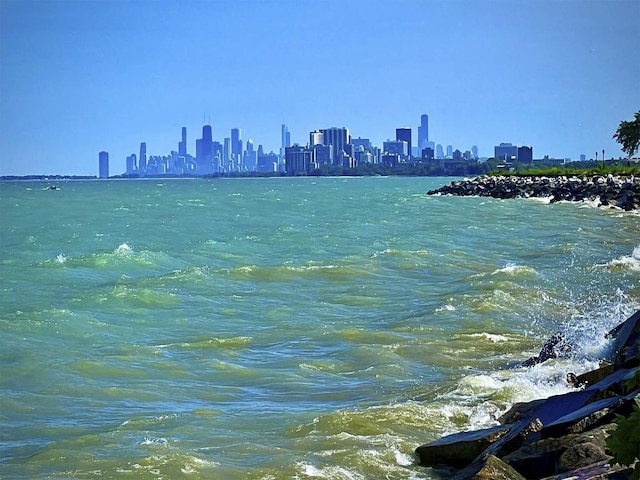 1720 Maple Ave Unit 2710, Evanston, IL 60201 - water view with skyline