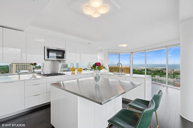 1720 Maple Ave Unit 2710, Evanston, IL 60201 - kitchen featuring stainless steel appliances, modern cabinets, white cabinets, light countertops, and expansive windows