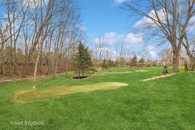 1422 Kirkwall Ct, Inverness, IL 60010 - view of green lawn featuring a putting green