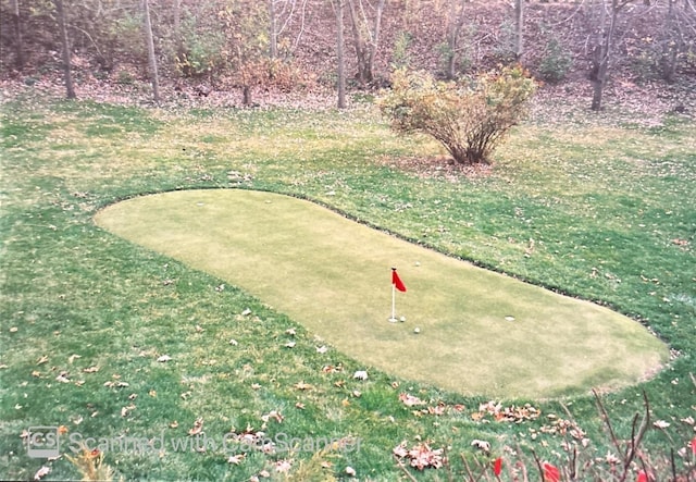 1422 Kirkwall Ct, Inverness, IL 60010 - view of home's community featuring a putting area