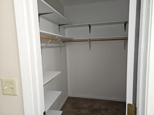 2135 Colorado Ave Unit 2135, Elgin, IL 60123 - walk in closet featuring carpet flooring