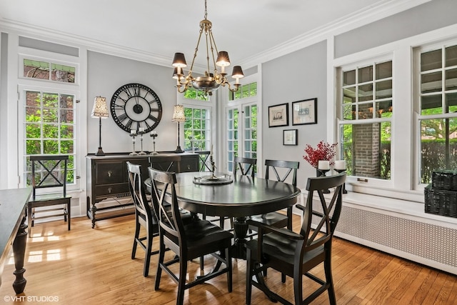 739 Jackson Ave, River Forest, IL 60305 - dining area featuring crown molding, a chandelier, radiator heating unit, and light wood-style flooring