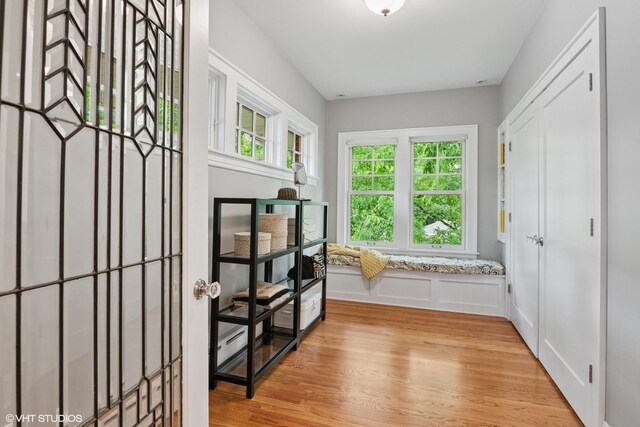 739 Jackson Ave, River Forest, IL 60305 - doorway featuring light wood-style flooring