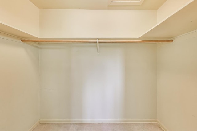 1904 Birch Rd, Northbrook, IL 60062 - spacious closet featuring light carpet