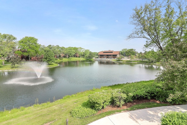 12 Kyle Ct, Willowbrook, IL 60527 - water view