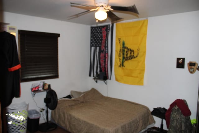 907 N Eddy St, Sandwich, IL 60548 - bedroom with a ceiling fan