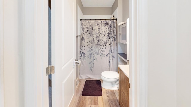 508 Falmore Ln, Bolingbrook, IL 60440 - bathroom featuring wood finished floors, vanity, and curtained shower