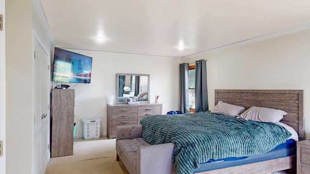 508 Falmore Ln, Bolingbrook, IL 60440 - bedroom with carpet and baseboards
