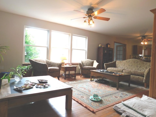 1064 N 129th Infantry Dr, Joliet, IL 60435 - living area featuring a ceiling fan and wood-type flooring