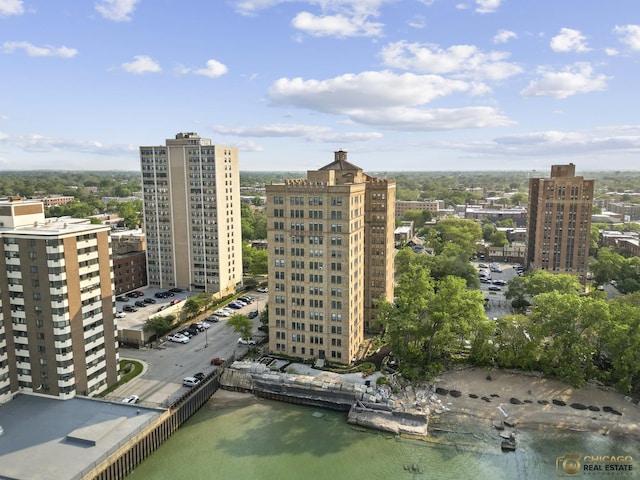 7321 S S Shore Dr Unit 10A, Chicago, IL 60649 - view of urban area