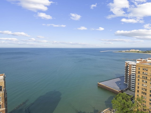 7321 S S Shore Dr Unit 10A, Chicago, IL 60649 - water view featuring a floating dock