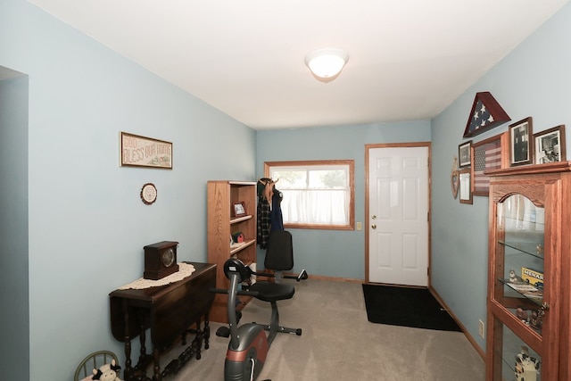274 Crystal Ave, South Elgin, IL 60177 - office space with carpet and baseboards