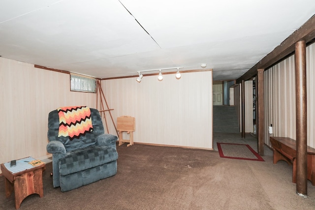 274 Crystal Ave, South Elgin, IL 60177 - living area featuring carpet, track lighting, and wood walls