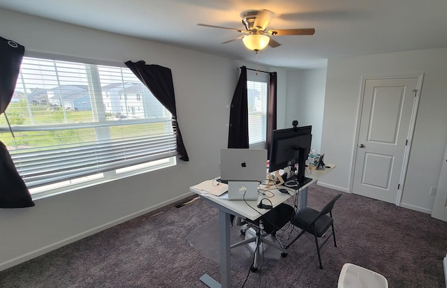 404 Radcliff Ln, South Elgin, IL 60177 - home office featuring carpet and a ceiling fan