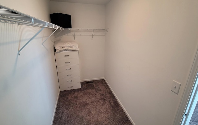 404 Radcliff Ln, South Elgin, IL 60177 - spacious closet with dark carpet