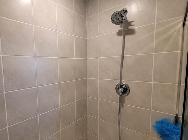 404 Radcliff Ln, South Elgin, IL 60177 - detailed view of tiled shower