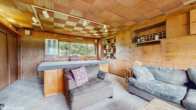 816 Rosedale Ter, Crete, IL 60417 - living area with wooden walls, built in shelves, wood ceiling, and light colored carpet
