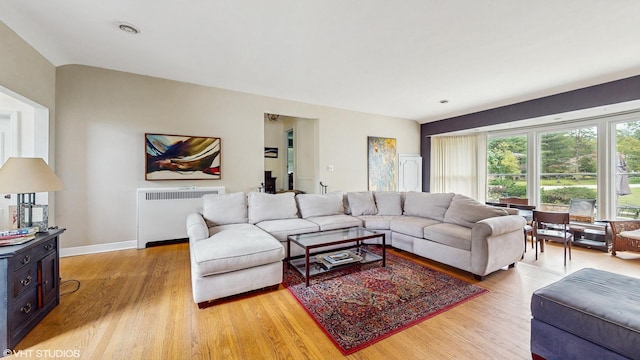 816 Rosedale Ter, Crete, IL 60417 - living area featuring radiator, light wood-style floors, and baseboards