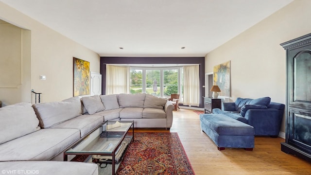 816 Rosedale Ter, Crete, IL 60417 - living room featuring light wood-style floors
