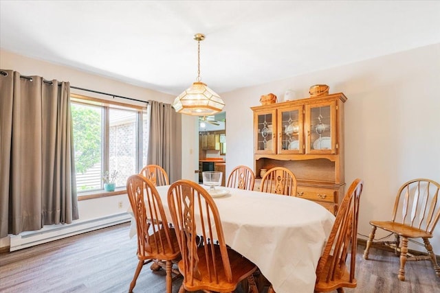419 Circle Dr, Odell, IL 60460 - dining area with a baseboard radiator and wood finished floors