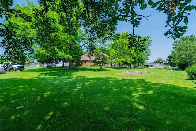 419 Circle Dr, Odell, IL 60460 - view of green lawn