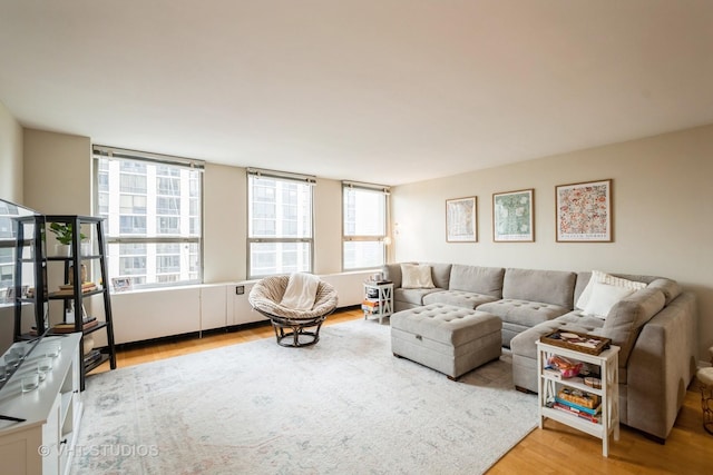 2626 N Lakeview Ave Unit 801, Chicago, IL 60614 - living area with wood finished floors