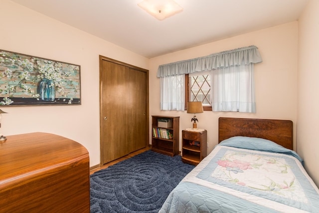 305 Denver Dr, Des Plaines, IL 60018 - bedroom with a closet and baseboards