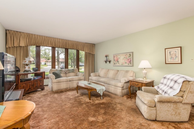 305 Denver Dr, Des Plaines, IL 60018 - living area featuring carpet floors