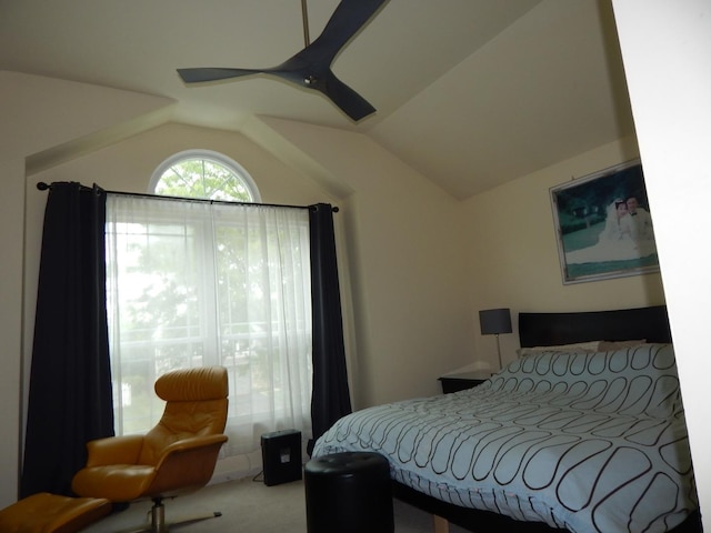 355 Wentworth Ln, Bartlett, IL 60103 - carpeted bedroom featuring vaulted ceiling