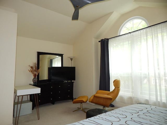355 Wentworth Ln, Bartlett, IL 60103 - bedroom with vaulted ceiling and carpet flooring