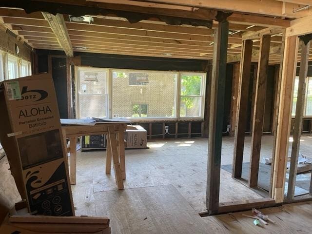 8110 Lockwood Ave, Burbank, IL 60459 - view of miscellaneous room