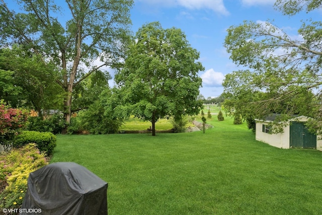 11 Willow Ct, Spring Valley, IL 61362 - view of green lawn