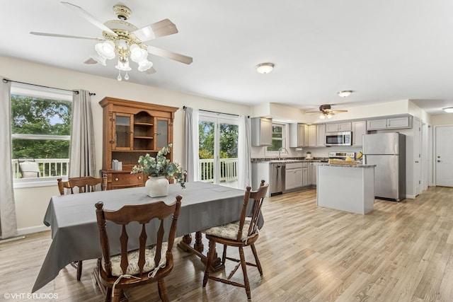 11 Willow Ct, Spring Valley, IL 61362 - dining room with ceiling fan, plenty of natural light, and light wood-type flooring