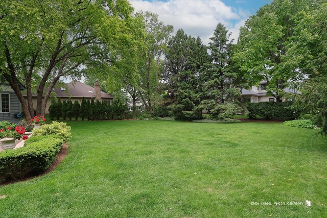2515 Thurston Ct, Aurora, IL 60502 - view of green lawn