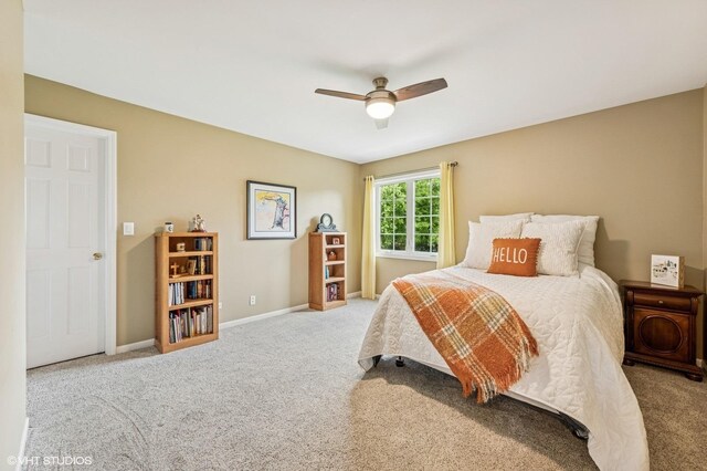 4N709 W Woods Dr, Saint Charles, IL 60175 - photo 26