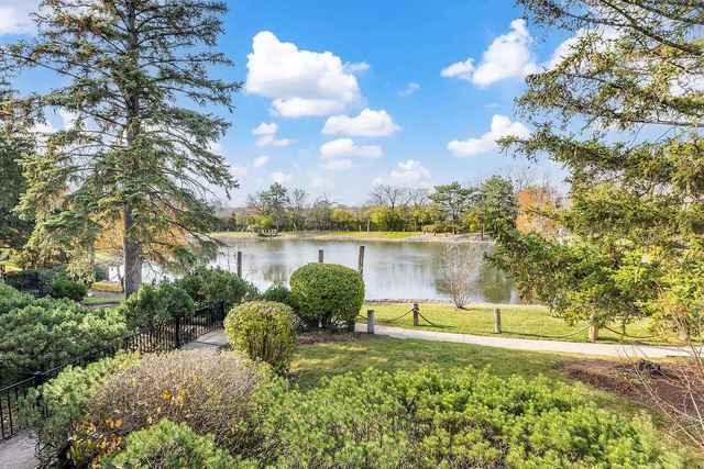 47 Pier Dr Unit 102, Westmont, IL 60559 - water view