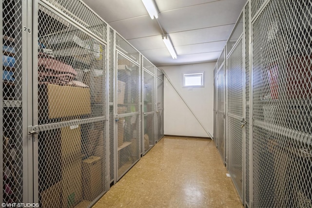 1380 Oakwood Ave Unit 306, Des Plaines, IL 60016 - view of storage area