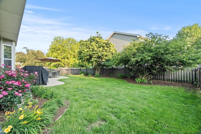 2003 Schumacher Dr, Naperville, IL 60540 - fenced backyard with a patio area
