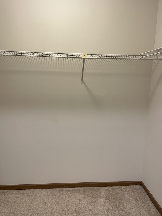 1744 Eastwood Ct Unit 3, Schaumburg, IL 60195 - spacious closet featuring carpet