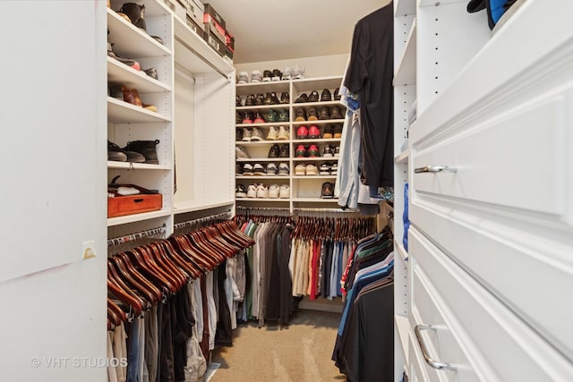 3136 Kewanee Ln, Naperville, IL 60564 - walk in closet featuring carpet flooring