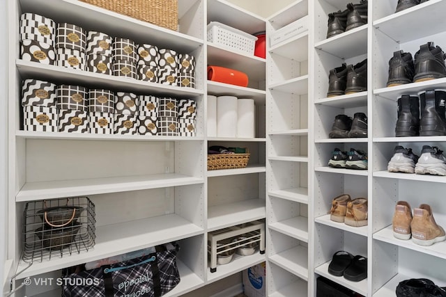 3136 Kewanee Ln, Naperville, IL 60564 - view of storage area