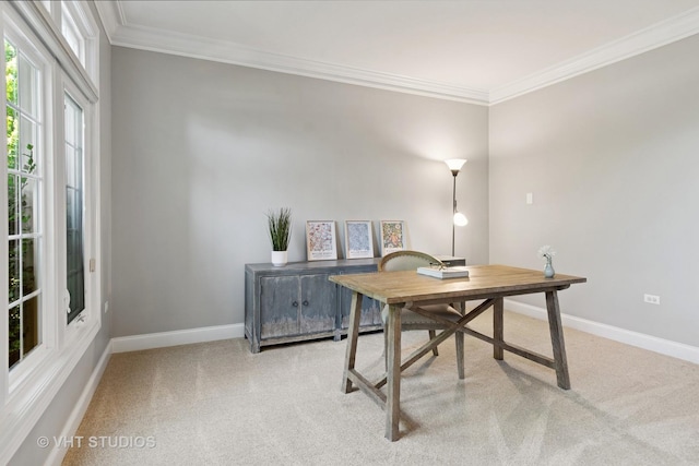 3136 Kewanee Ln, Naperville, IL 60564 - office featuring light colored carpet and crown molding