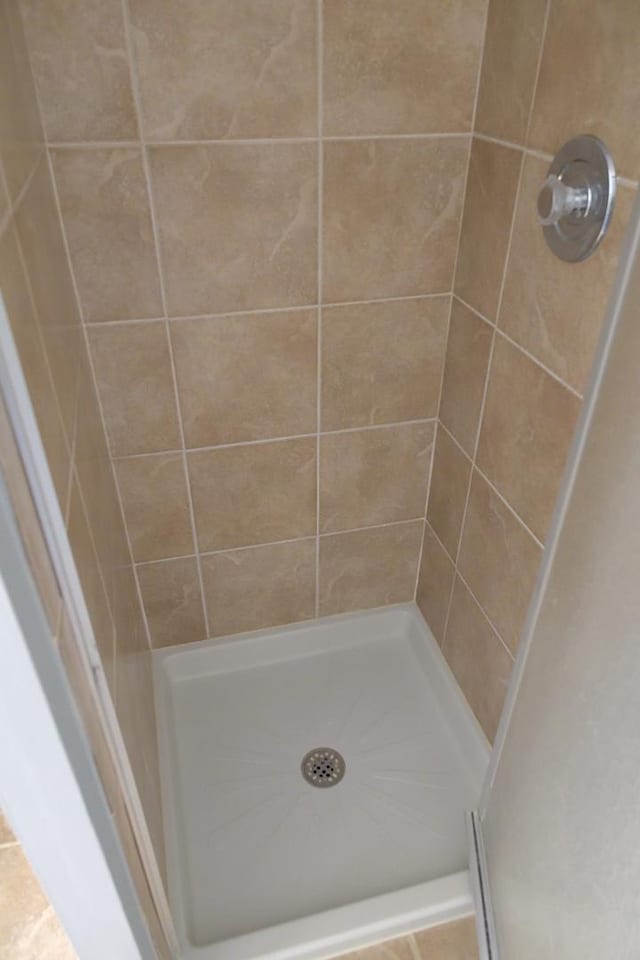 521 Coventry Ln Unit 16, Crystal Lake, IL 60014 - bathroom featuring a shower stall