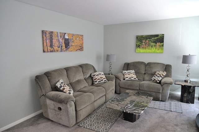 521 Coventry Ln Unit 16, Crystal Lake, IL 60014 - carpeted living room with baseboards