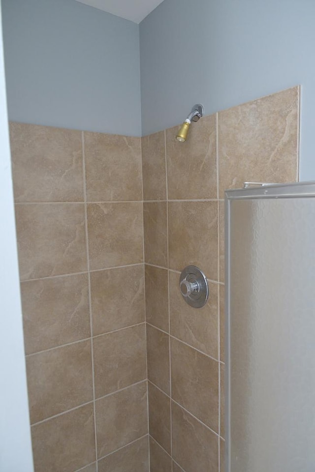 521 Coventry Ln Unit 16, Crystal Lake, IL 60014 - bathroom featuring a tile shower