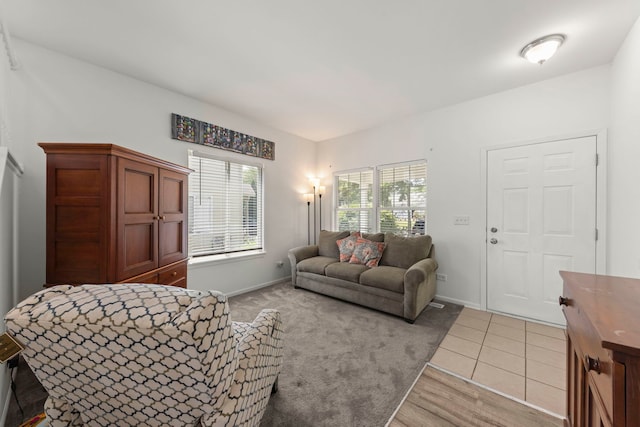 2812 Sun Valley Dr, Plainfield, IL 60586 - living area featuring baseboards and light wood-style floors
